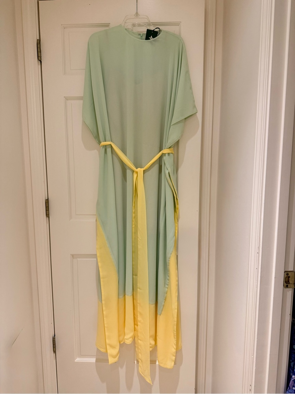 Tuckernuck Mint Chiffon Rainer Caftan Gown - Picture 2 of 3